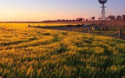 مختصری درباره مارکت مزرعه یا Farmland در استرالیا